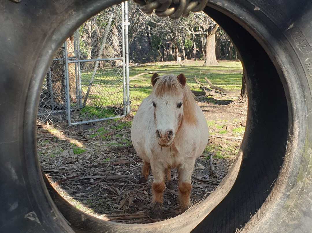 Morvern Valley Guesthouses主图