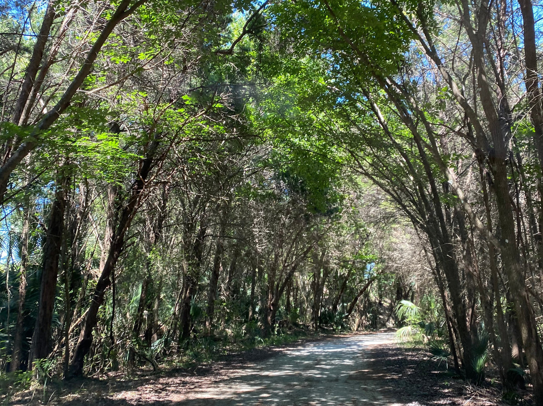 Crystal River Preserve State Park-克里斯特尔里弗必去景点