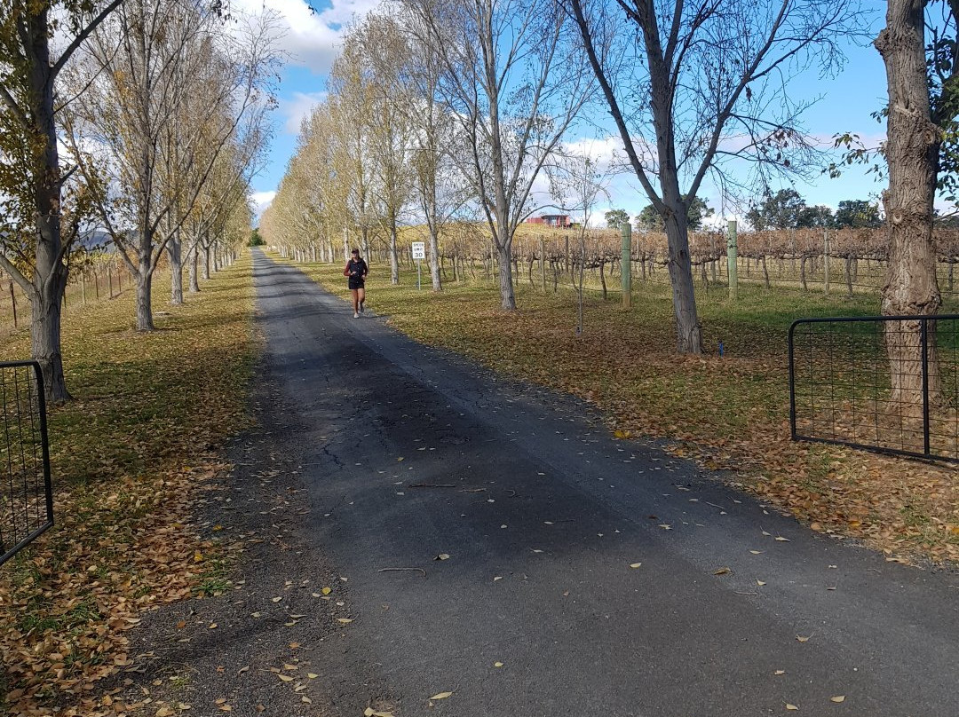 First Ridge Wines-马奇必去景点