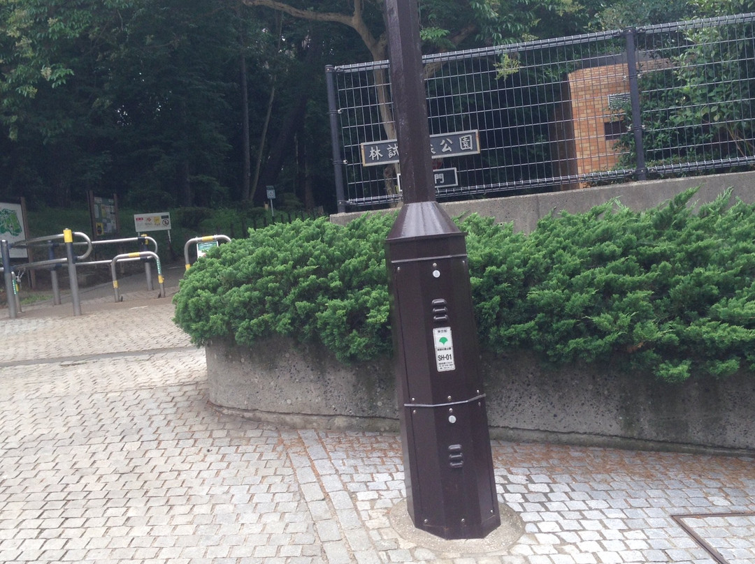 Rinshinomori Park-品川区必去景点