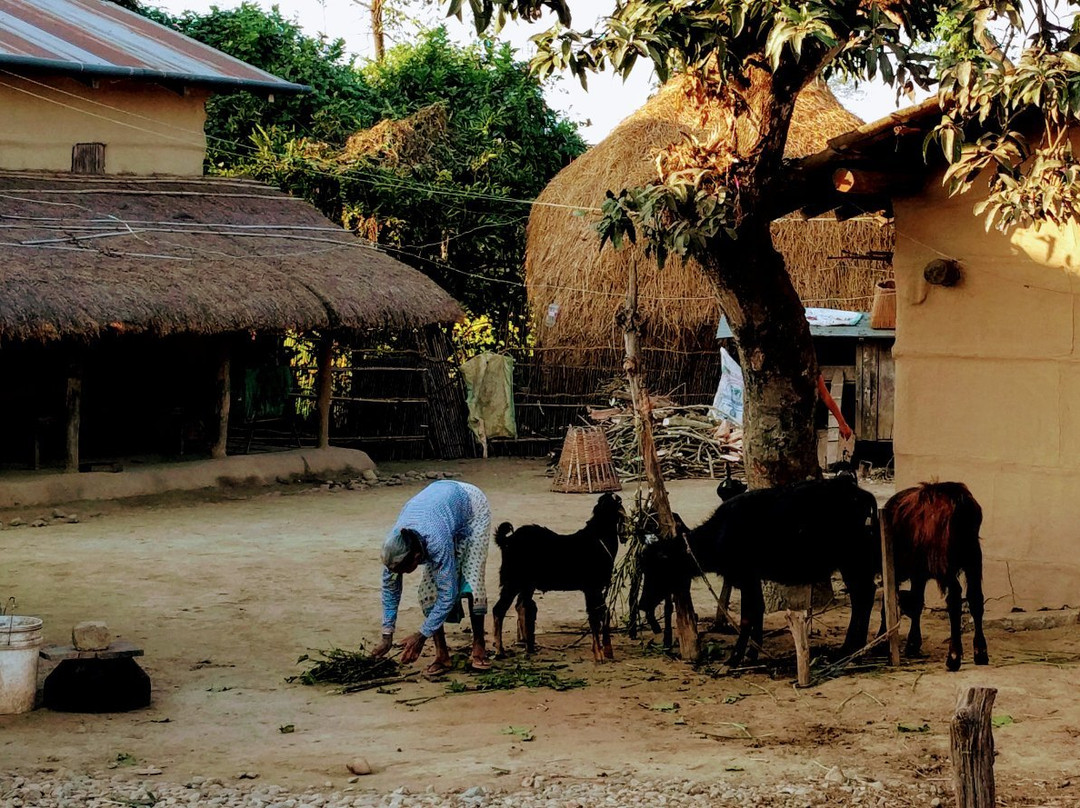 Center Park Resort主图