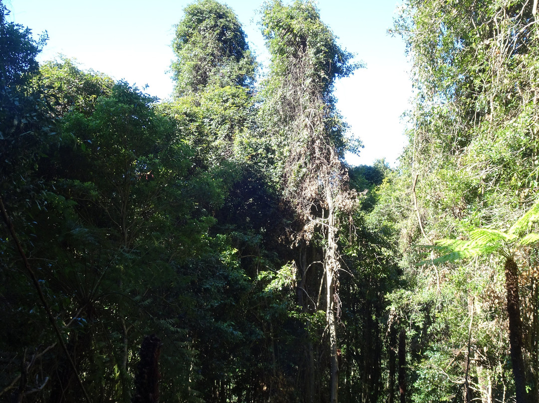 大蓝山山脉-卡通巴必去景点