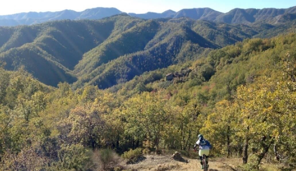 Seniobike景点图片