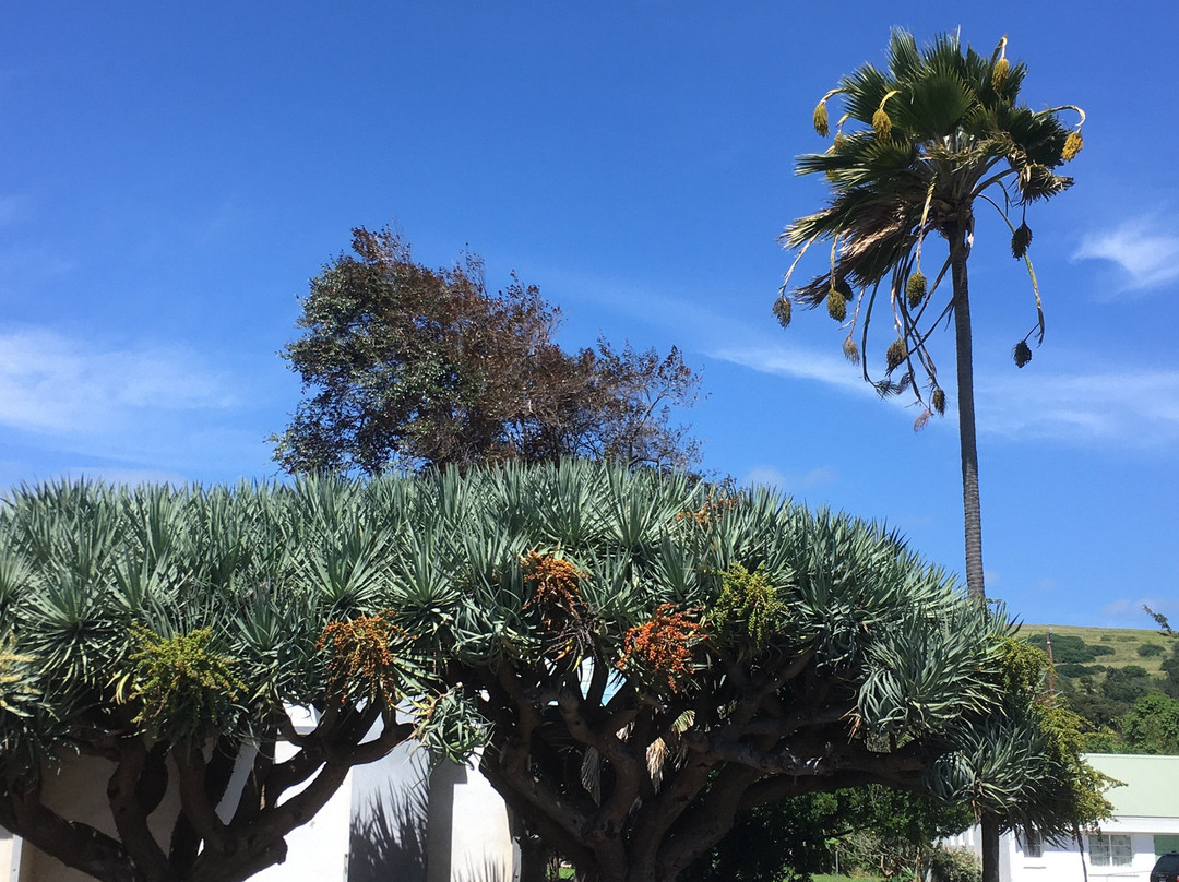 Haleokane Lookout-纳勒胡必去景点