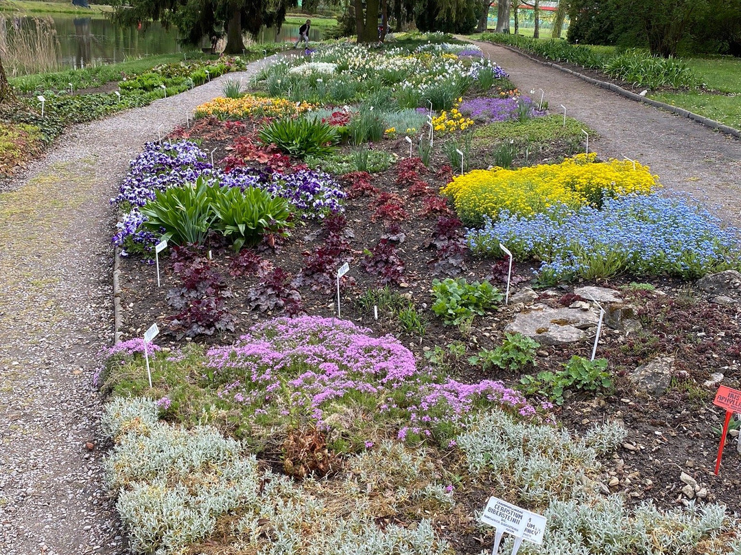 Botanical Garden UMCS景点图片