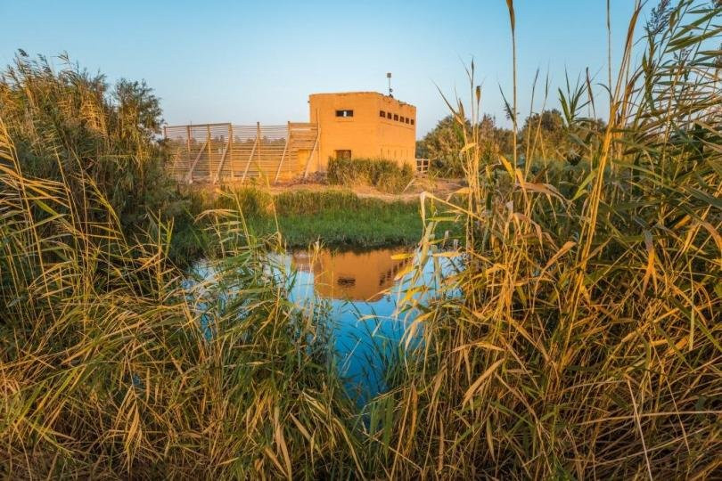 Azraq Wetland Reserve景点图片