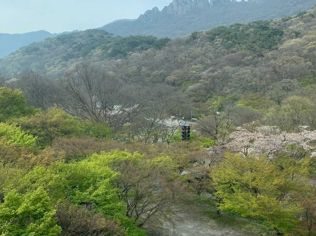 Naejangsa Temple-井邑市必去景点