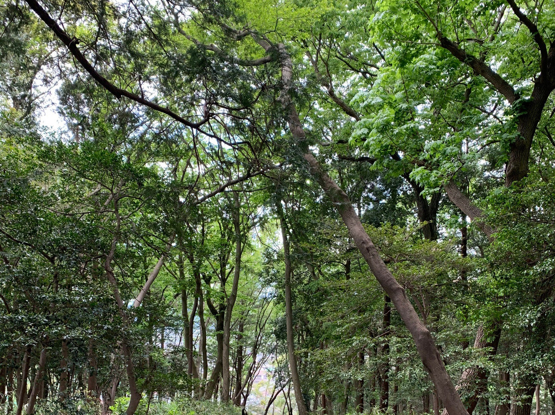 Mitsumine Shrine-座间市必去景点
