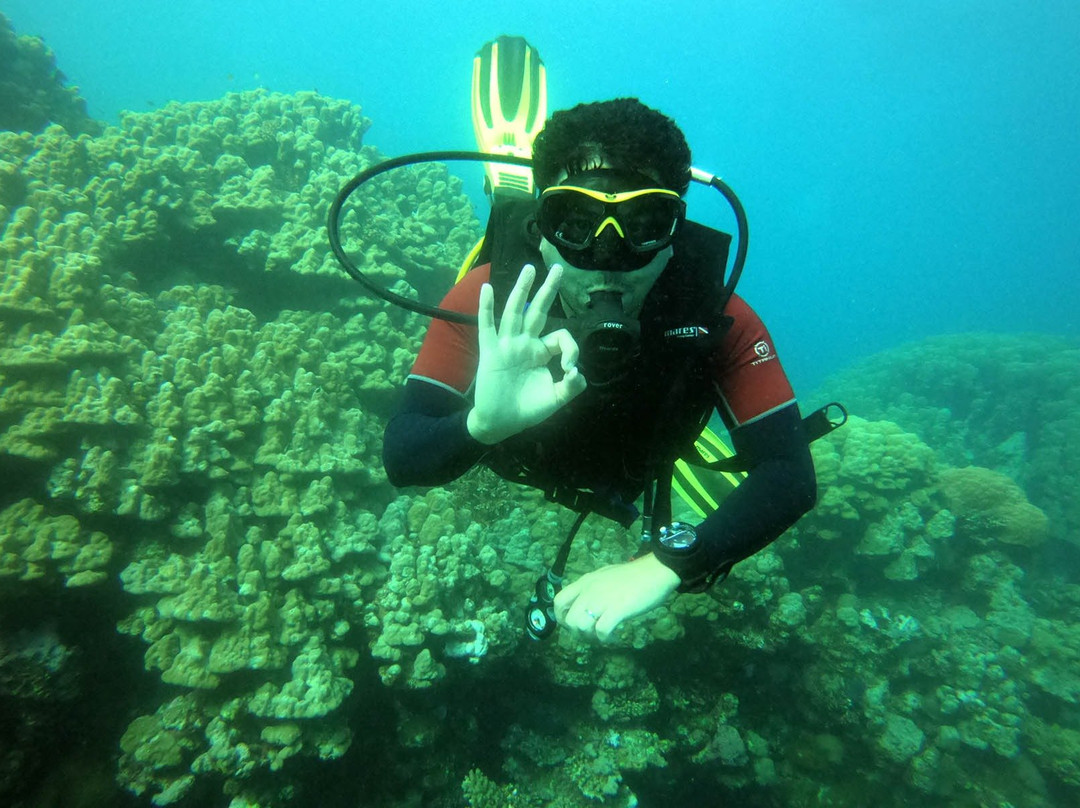 Hope Of Spring Dive-吉达必去景点