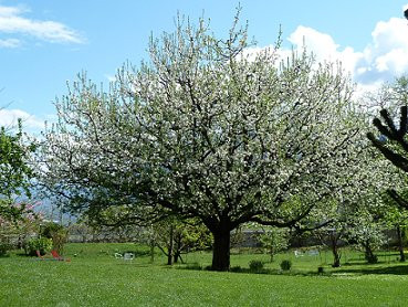 Losone酒店住宿-Parkhotel Emmaus - Casa Rustico