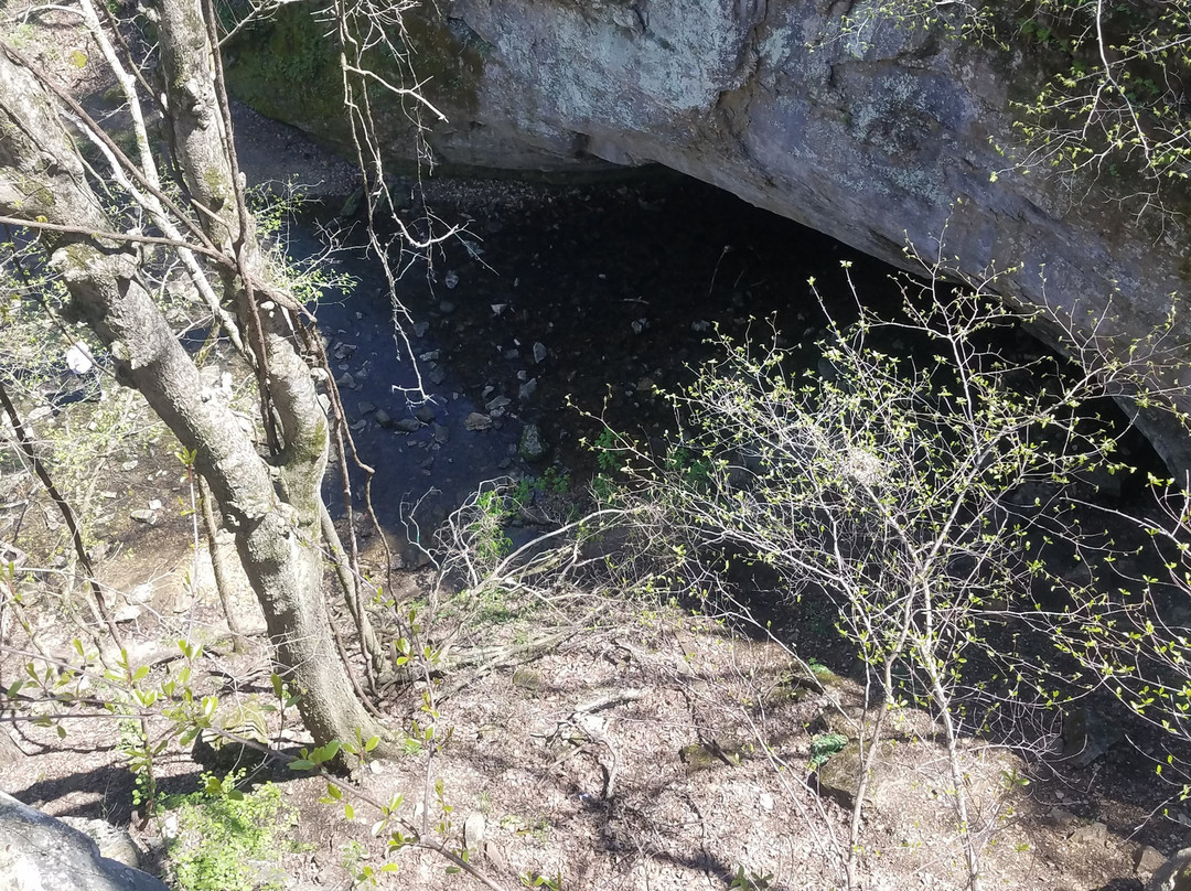 Rock Bridge Memorial State Park景点图片