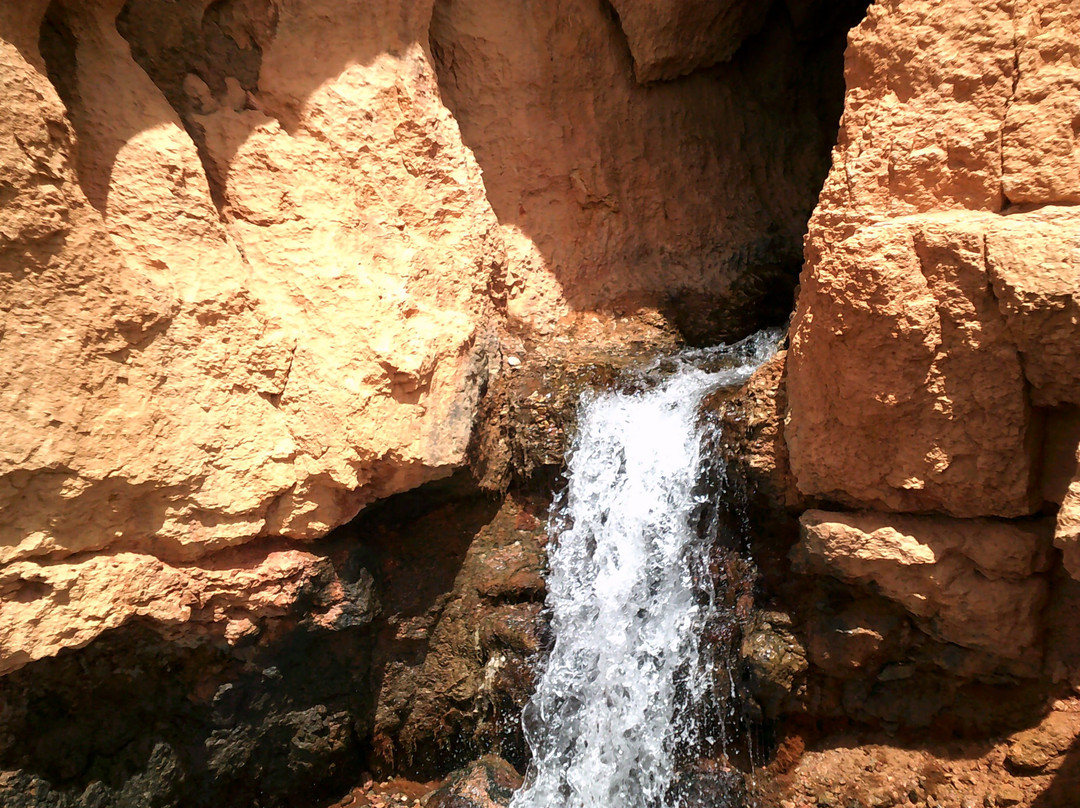 Cascade Falls Trail-锡达城必去景点