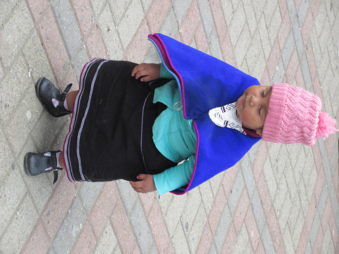 Indigenous Market-Silvia必去景点