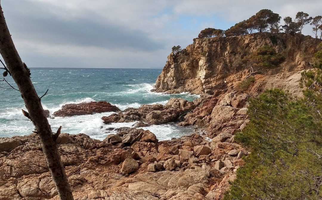 Chemin de Ronde景点图片