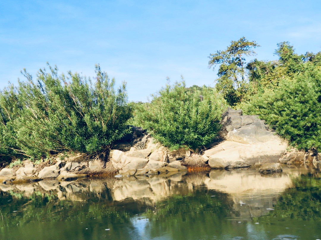 Ngapali Elephants Sanctuary-卡帕里必去景点