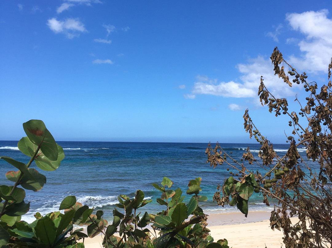 莫库雷阿海滩-瓦亚禄必去景点