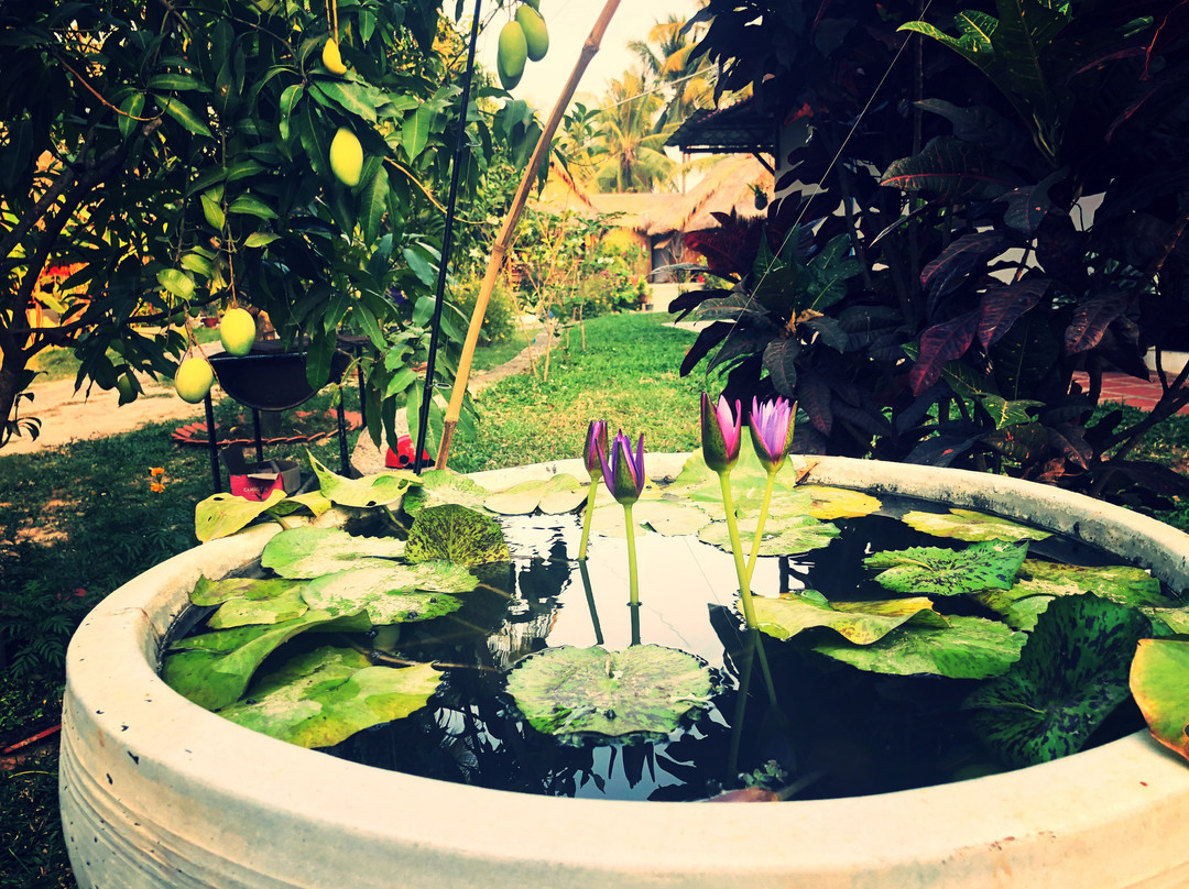 Nary Garden Bungalows主图