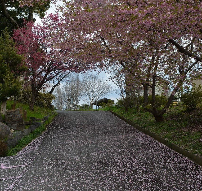 Yakumo Shrine-森町必去景点