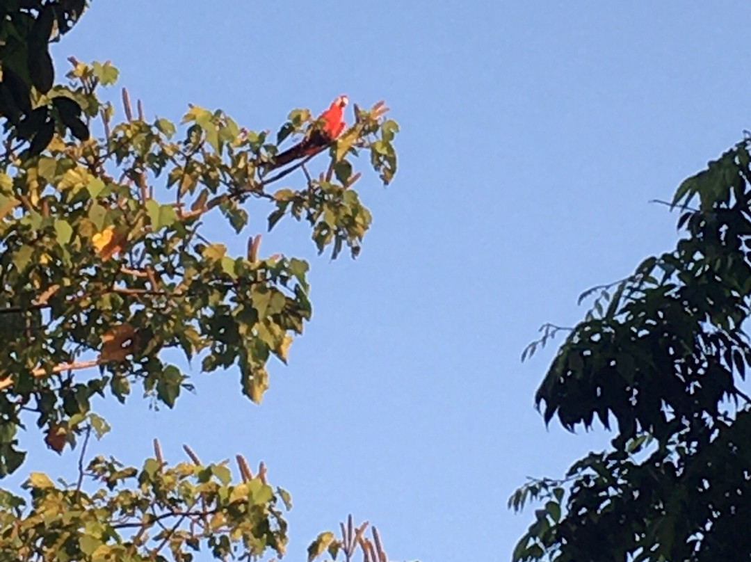 Hotel Casa Colombre Palenque主图