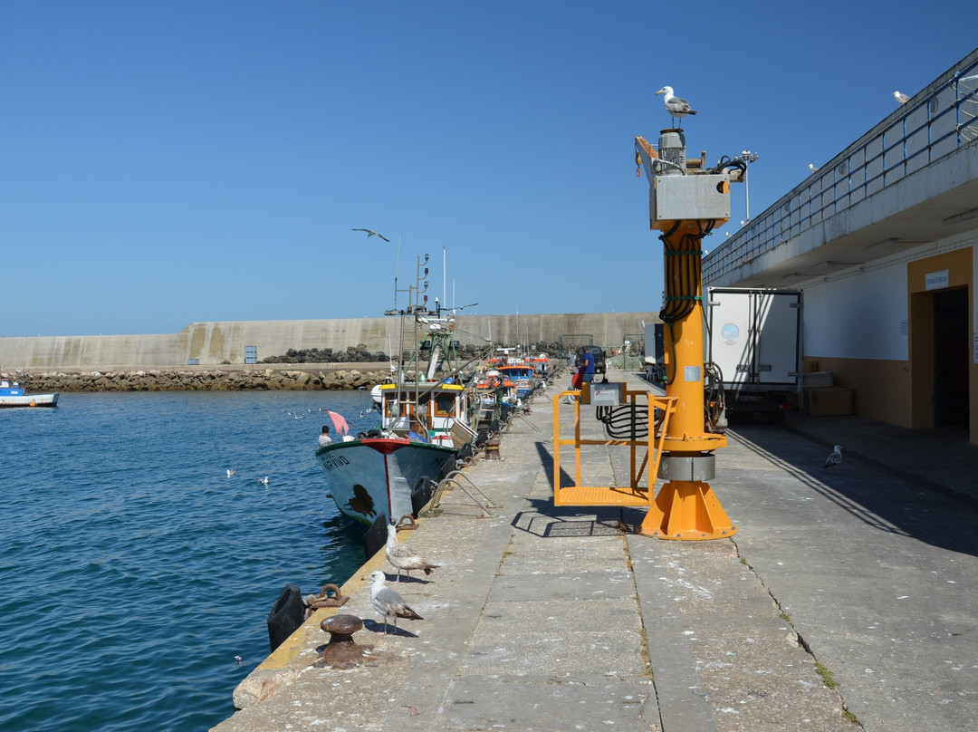 Porto da Baleeira-萨格里什必去景点