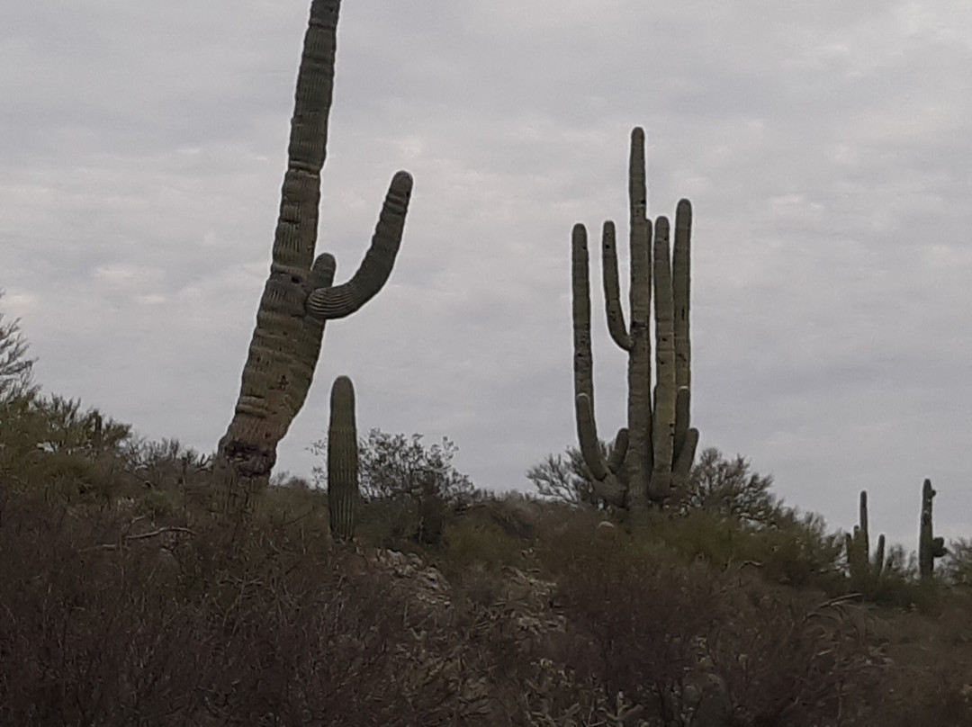 Los Viajeros Inn主图