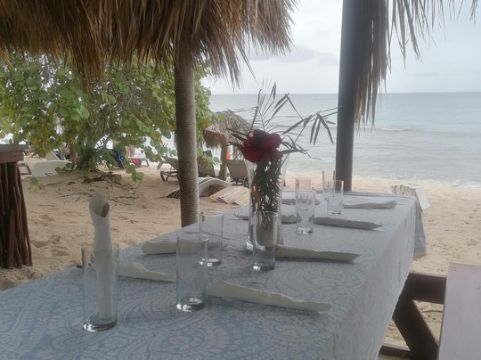 Tropical Paradise Excursions-Bayahibe必去景点