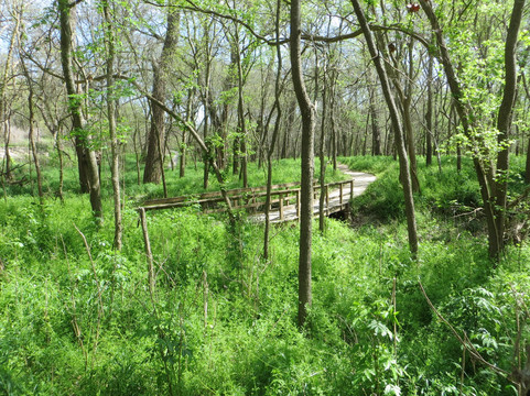 Colorado River Refuge-巴斯特罗普必去景点