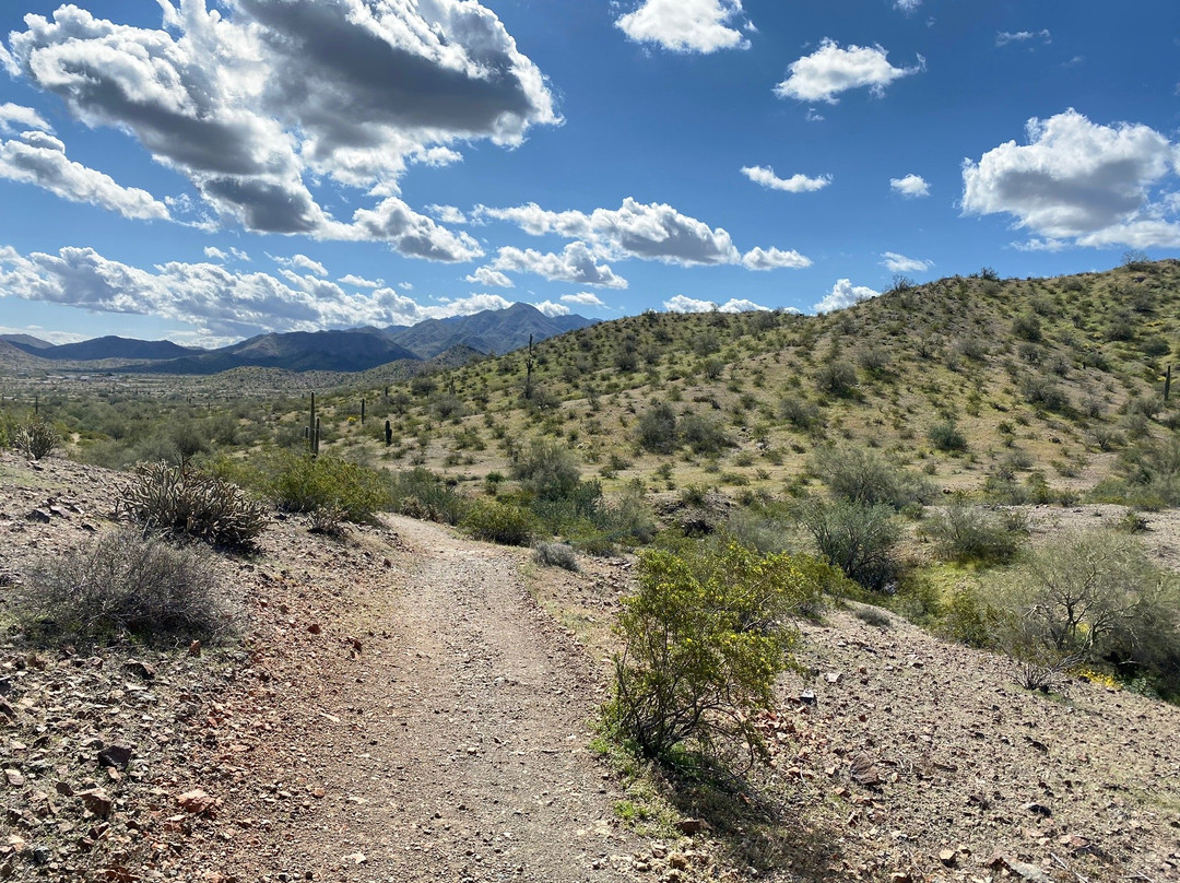 Estrella Mountain Regional Park-嘉年必去景点