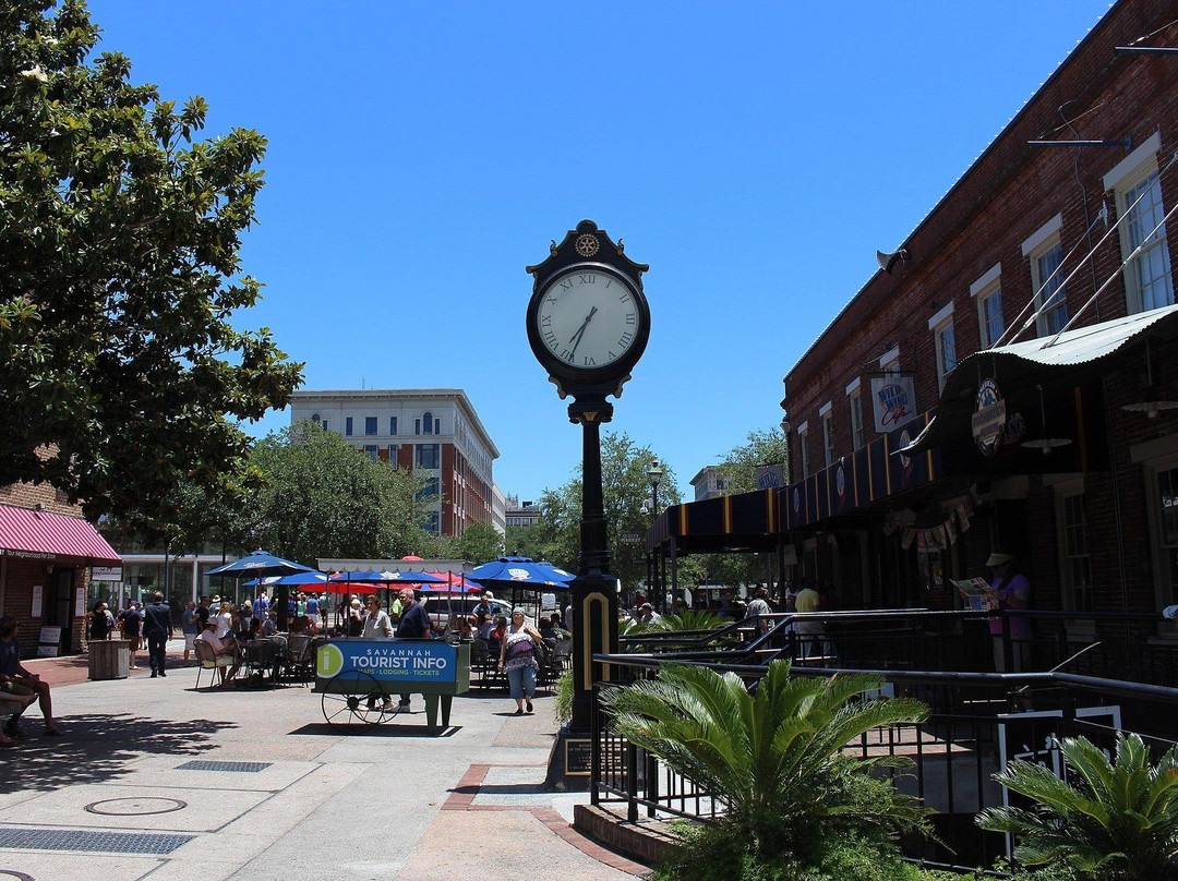 Drive with Action-旧金山必去景点