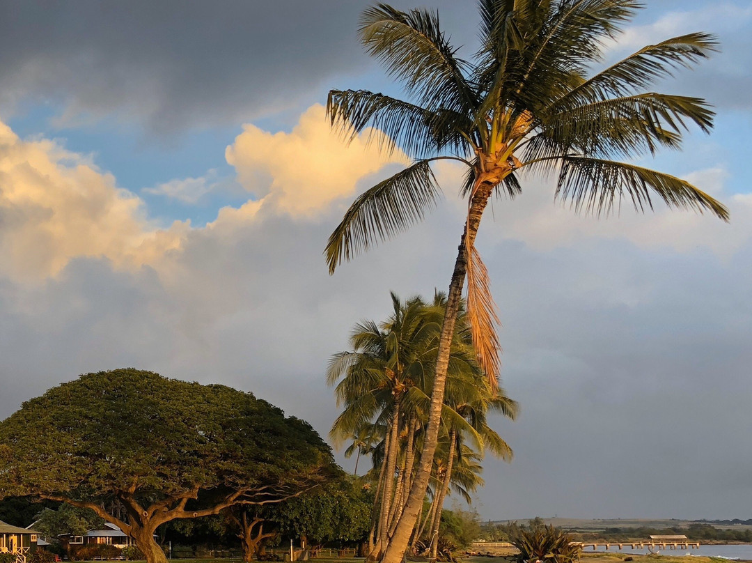 Waimea Plantation Cottages主图