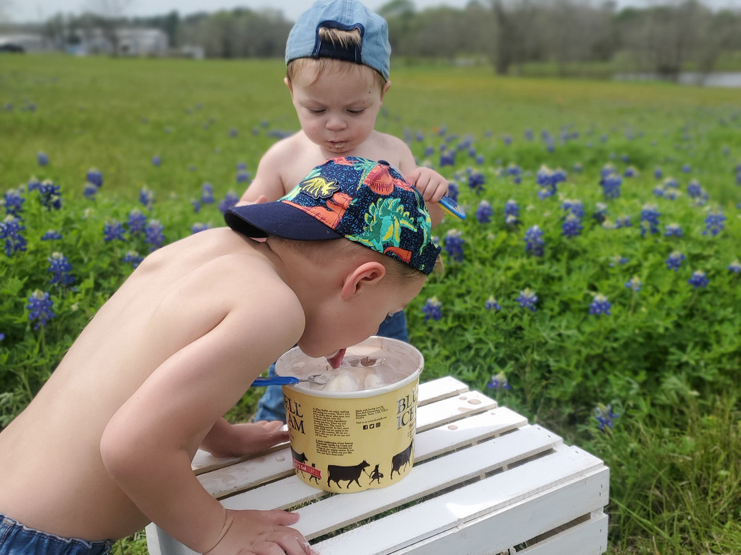 Blue Bell Creameries景点图片