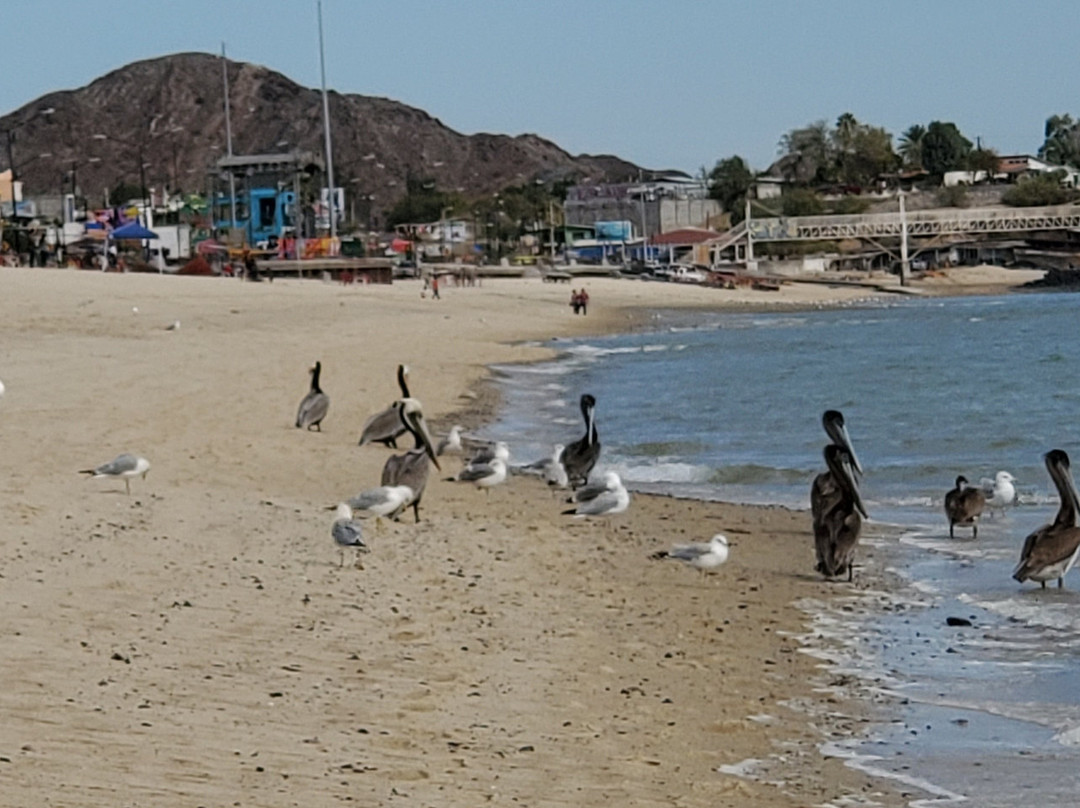 Plaza de Armas de San Felipe-San Felipe必去景点