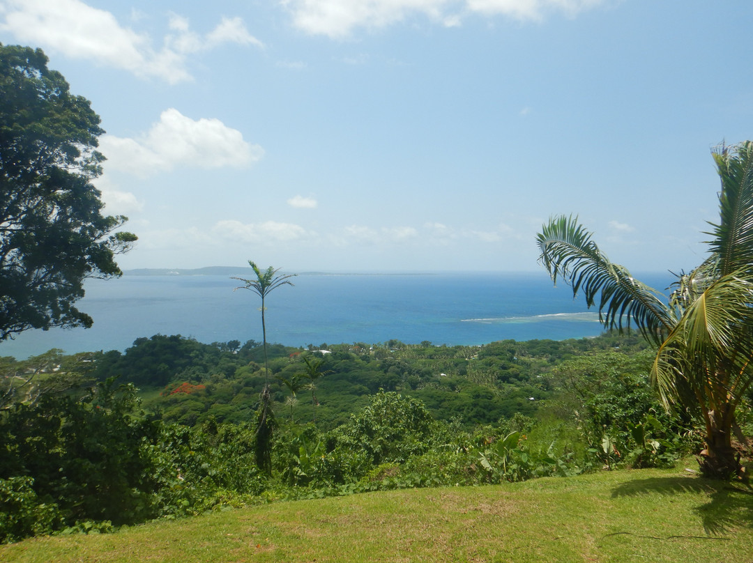 Vanuatu Jungle Ziplines-维拉港必去景点