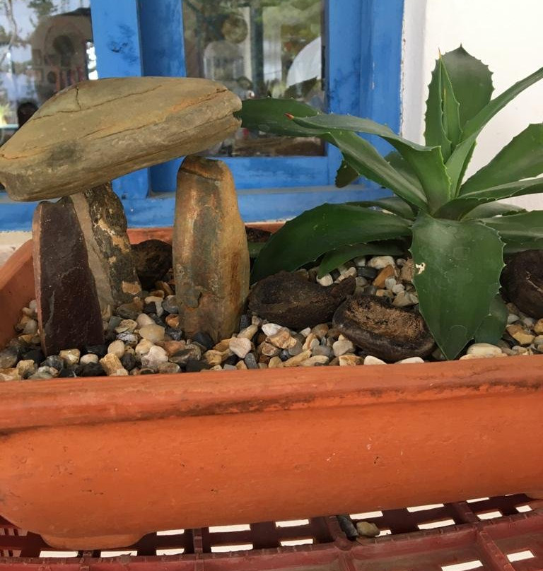 FIBAS Jardin de Desierto-莱瓦镇必去景点