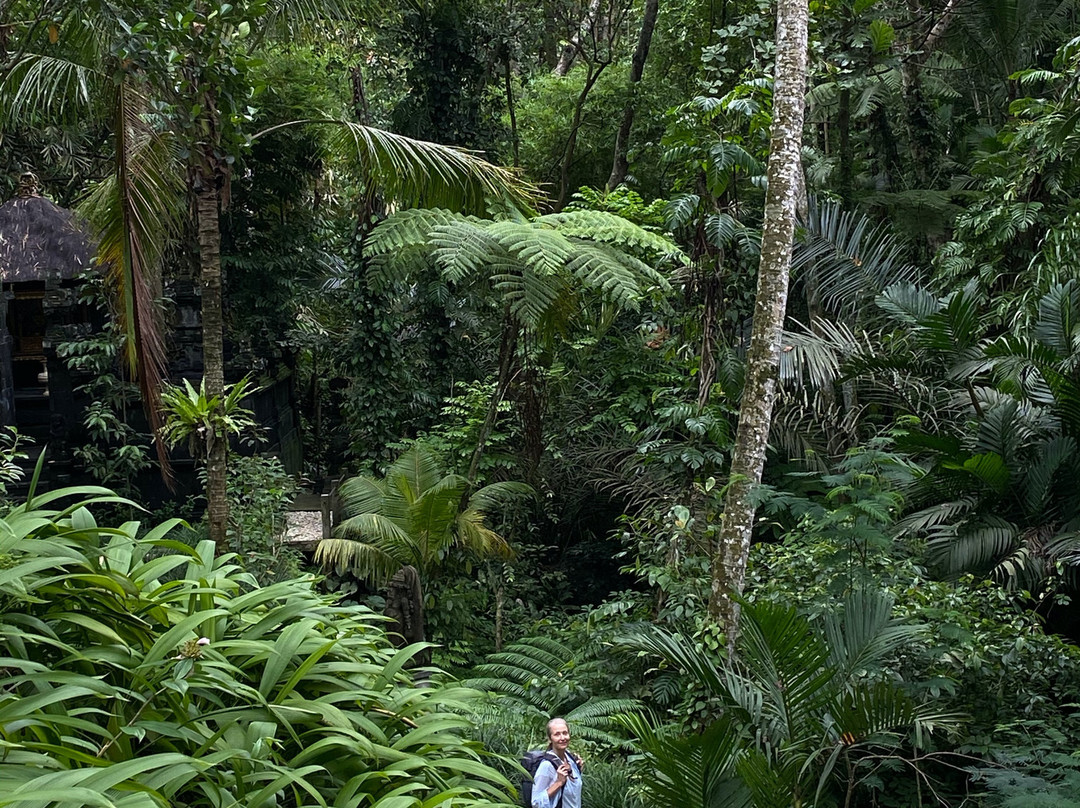 Uma Giri by GenuineHost主图