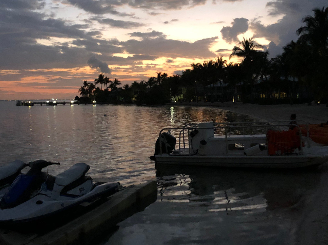 Bioluminescent Bay-大开曼岛必去景点