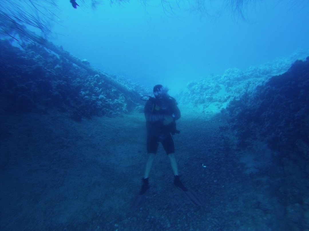 Sindbad Dive Club-亚喀巴必去景点