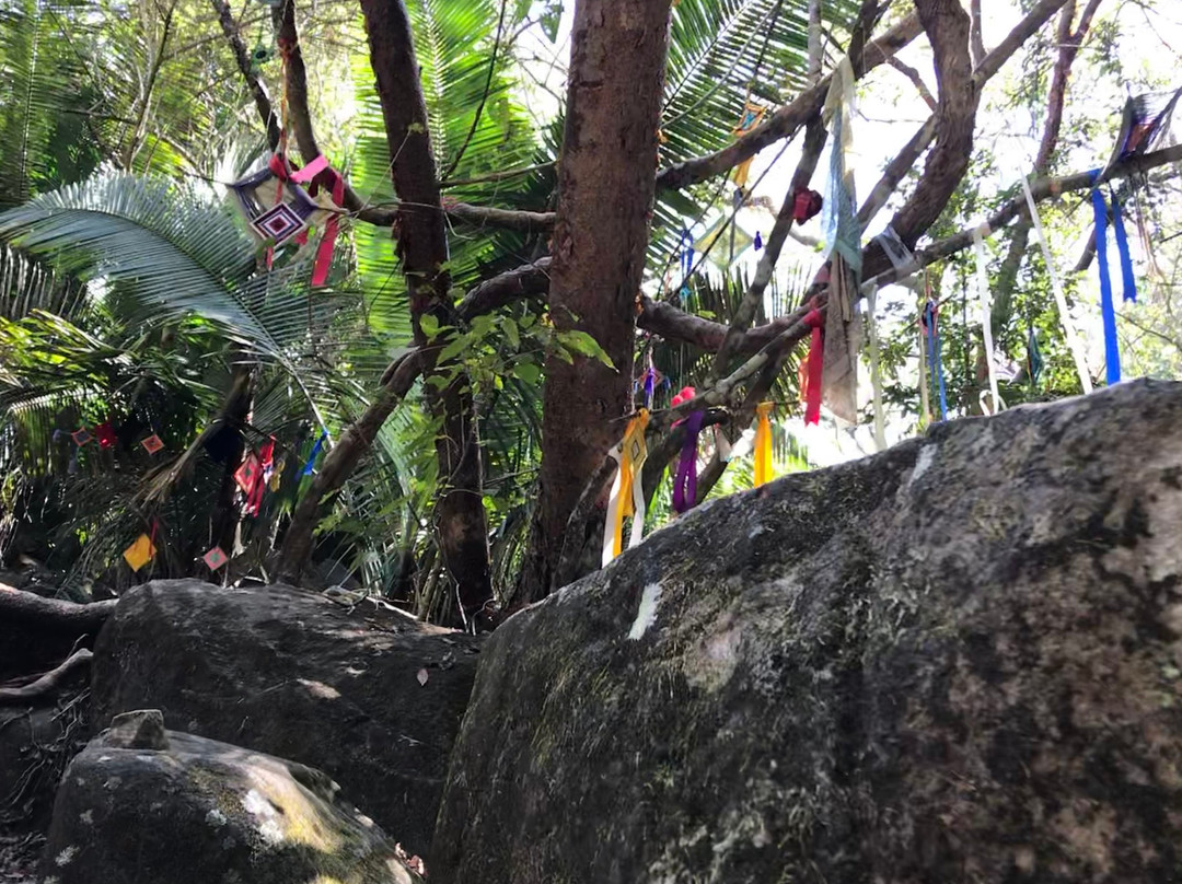 Altavista Petroglyph Complex-Chacala必去景点