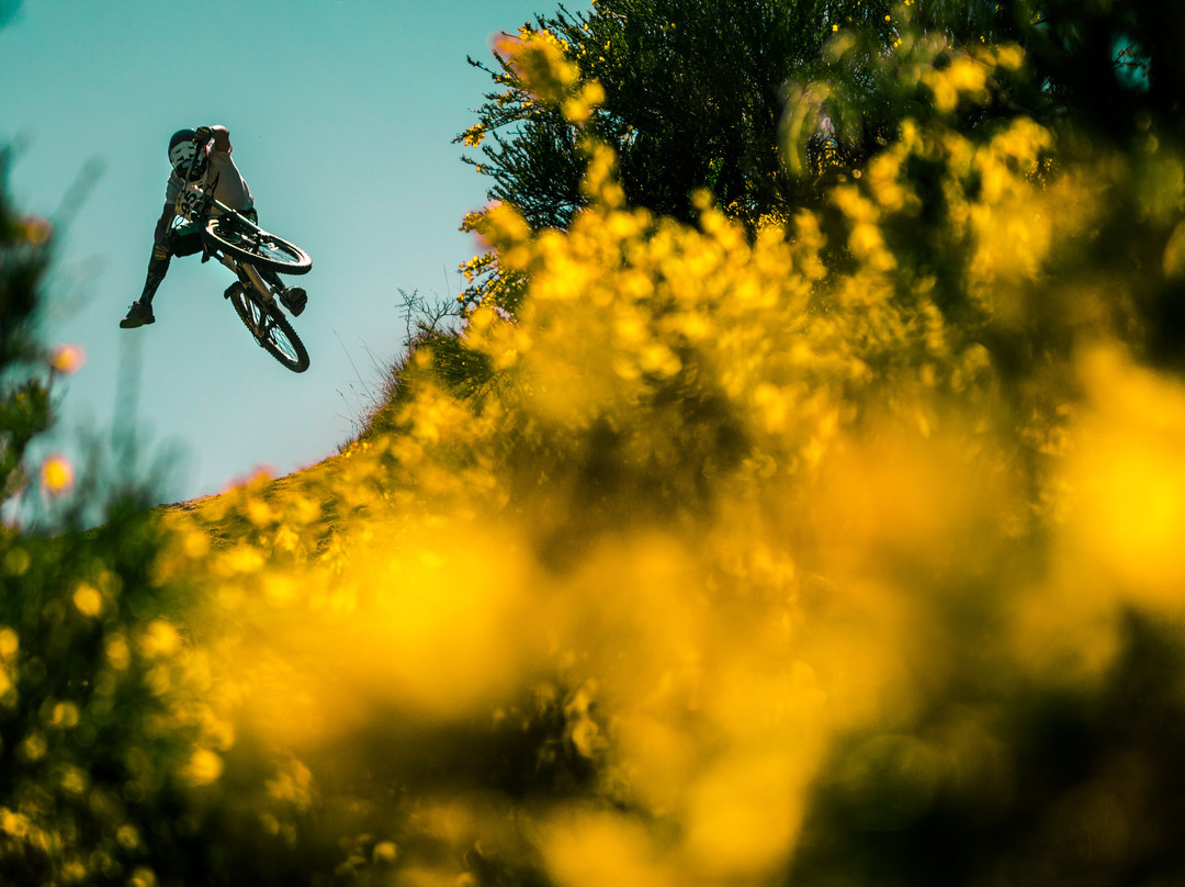 Queenstown Bike Taxis-皇后镇必去景点