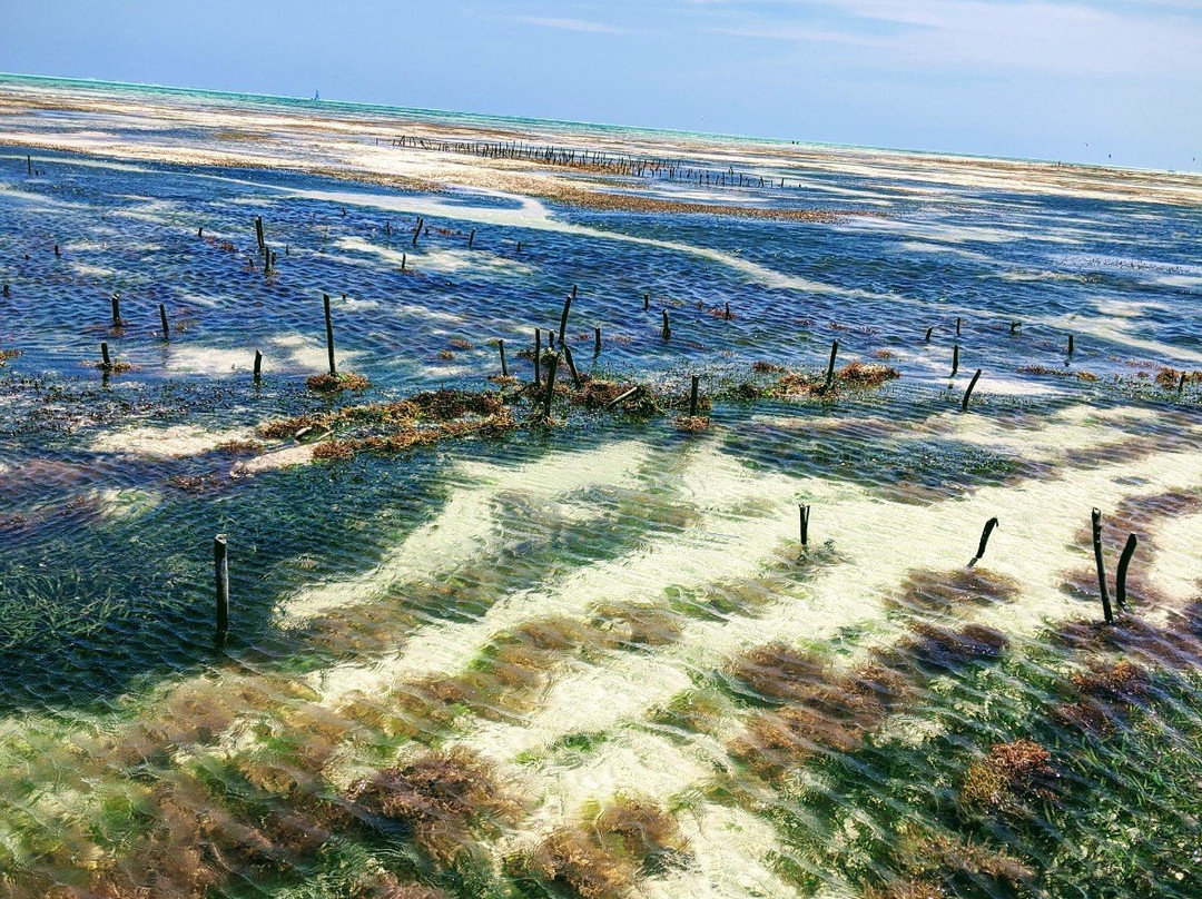 蓝牡蛎酒店主图