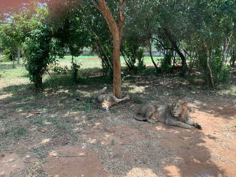 Eranga Kurera Tours-尼甘布必去景点