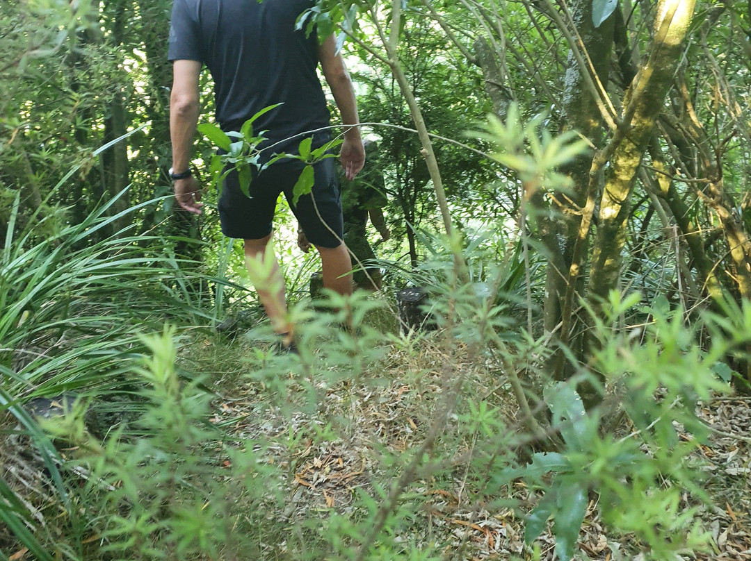 Gully Retreat Karapiro主图