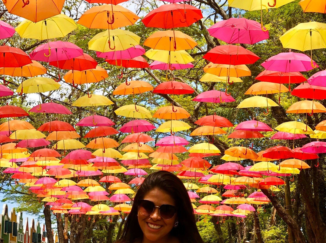 Holambra Garden Hotel主图