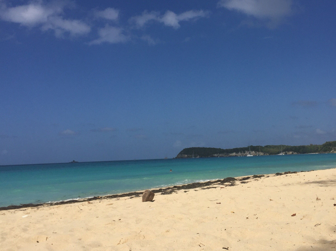 Mosquito Beach-Saint Louis必去景点