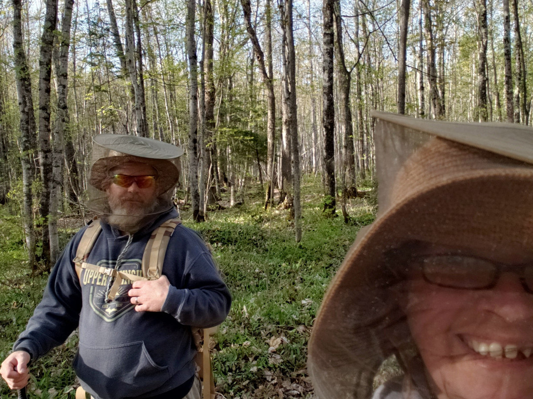 Porcupine Mountains Wilderness State Park-昂托纳贡必去景点