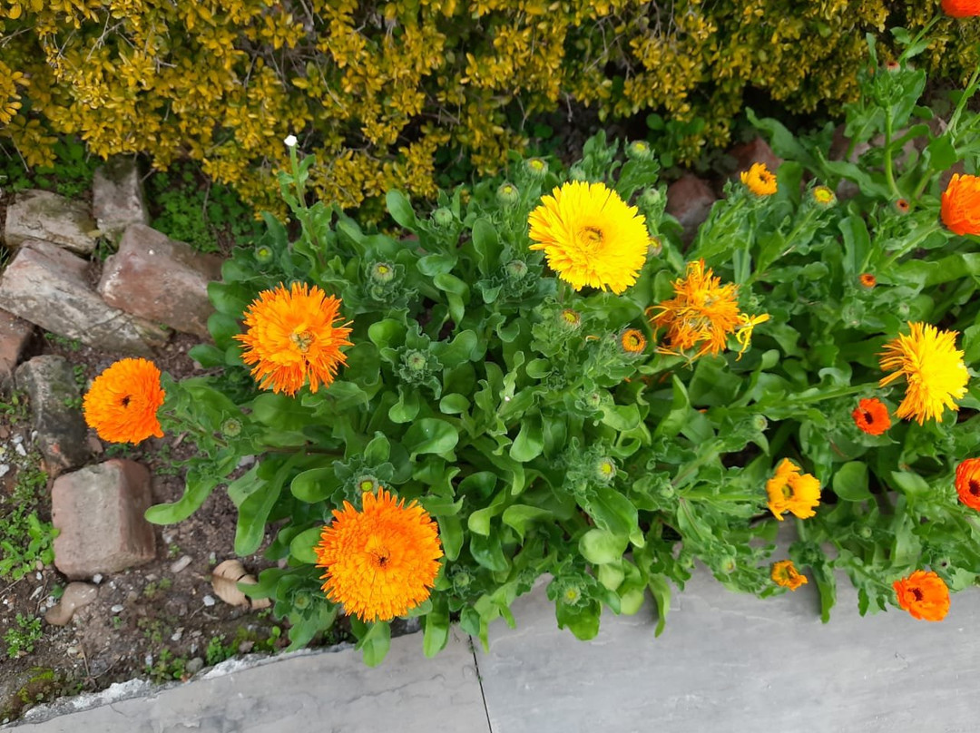 Sterling Corbett主图