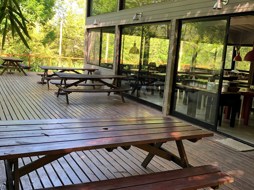 Delta Terra-蒂格雷必去景点