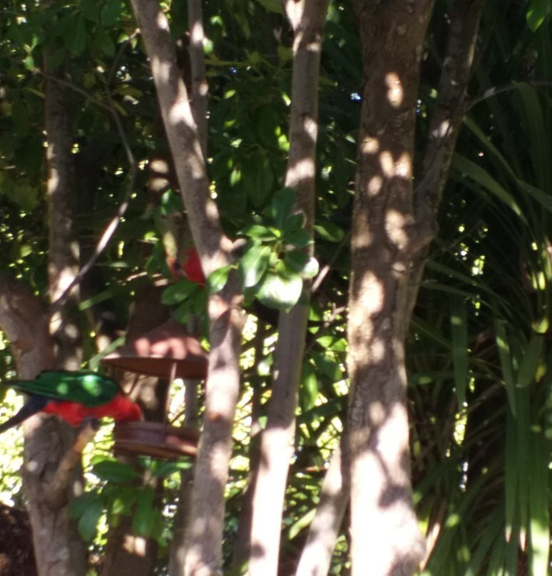 Black Forest Motel主图