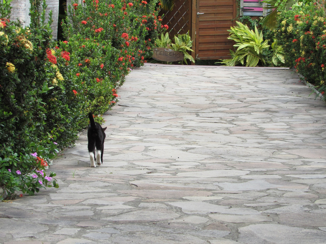 Residence de la Cousiniere主图