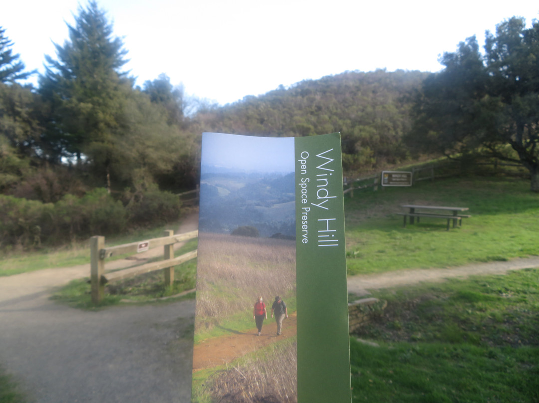Windy Hill Open Space Preserve-洛思阿图斯必去景点